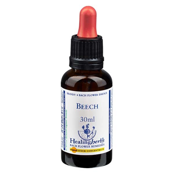 3 Beech Essenz 30ml - Healing Herbs