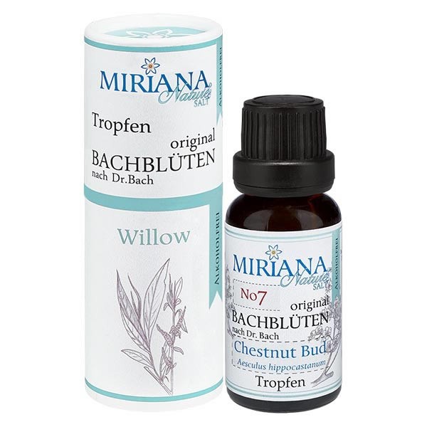 38 Willow alkoholfreie Bachblüten 20ml