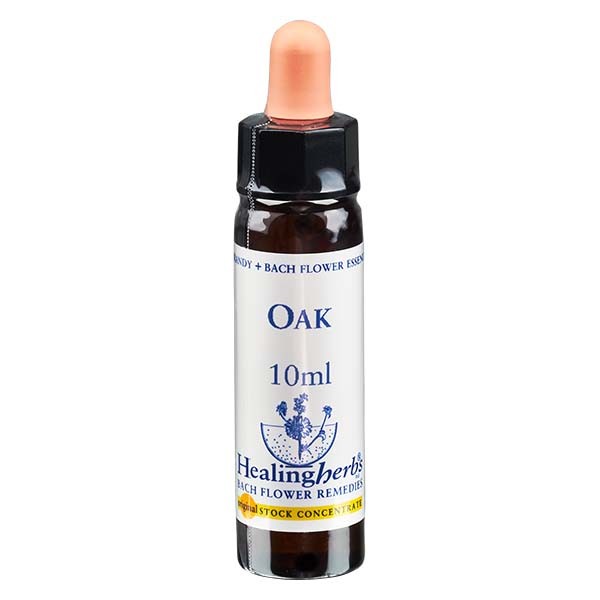 22 Oak Essenz 10ml - Healing Herbs