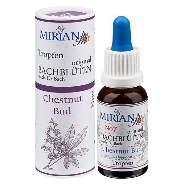 Chestnut Bud Bachblüten Essenz für Tiere 20ml