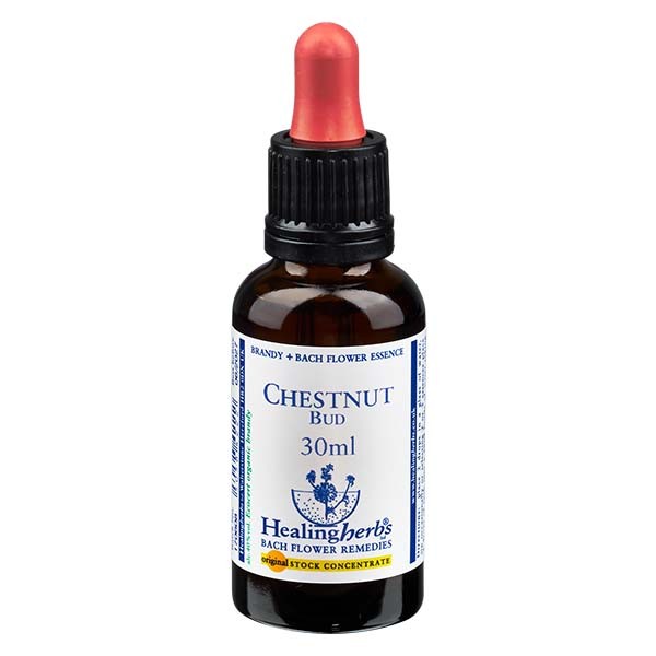 7 Chestnut Bud Essenz 30ml - Healing Herbs