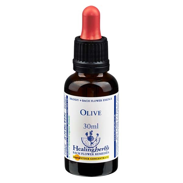 23 Olive Essenz 30ml - Healing Herbs