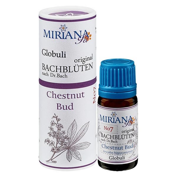 Chestnut Bud Bachblüten Globuli für Tiere 10g