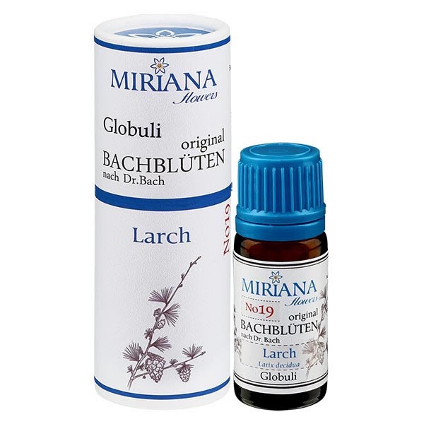 Larch Bachblüten Globuli (Lärche) 10g