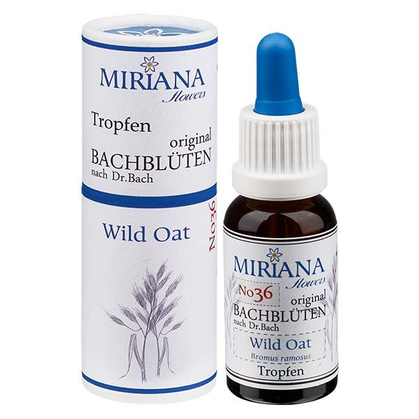 Wild Oat Bachblüten Essenz (Waldtrespe) 20ml