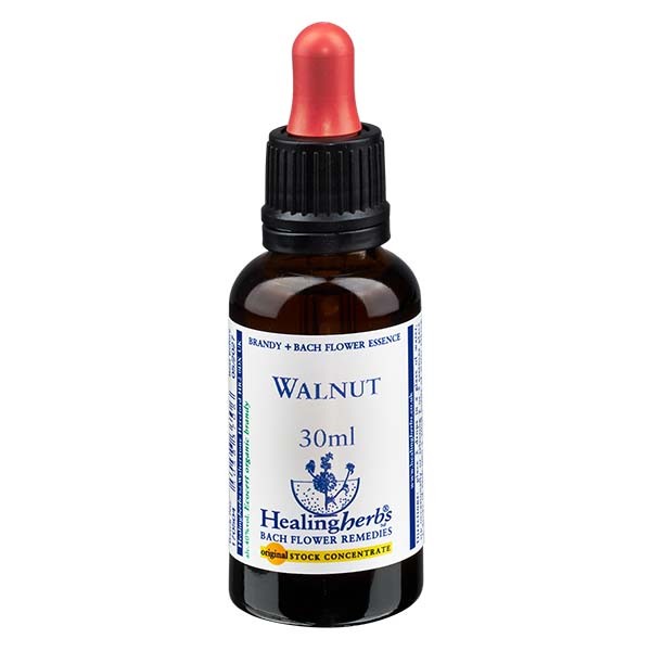 33 Walnut Essenz 30ml - Healing Herbs