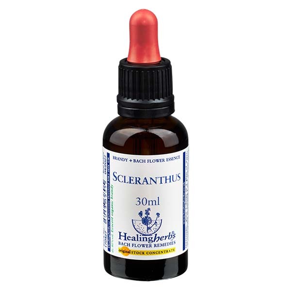 28 Scleranthus Essenz 30ml - Healing Herbs