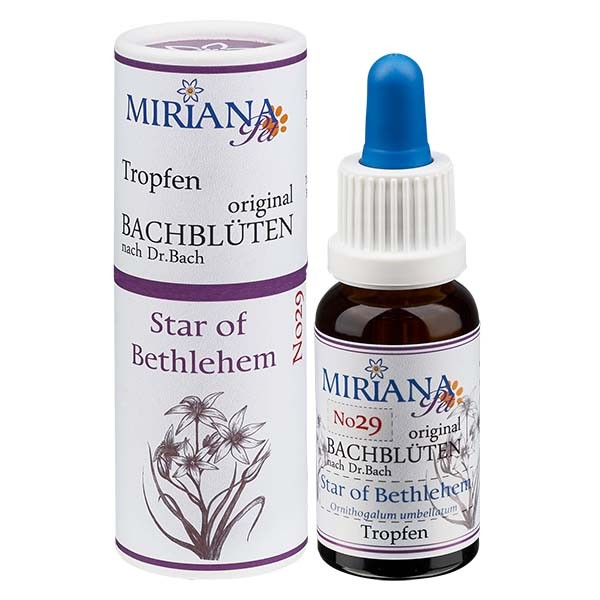 Star of Bethlehem Bachblüten Essenz für Tiere 20ml