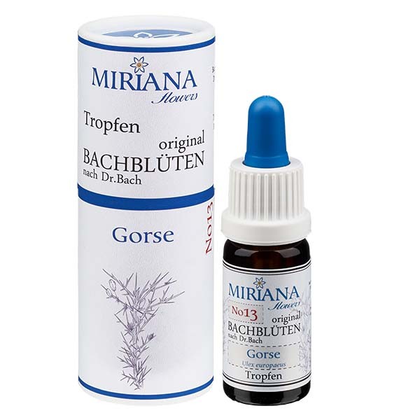 Gorse Bachblüten (Stechginster) Essenz 10ml