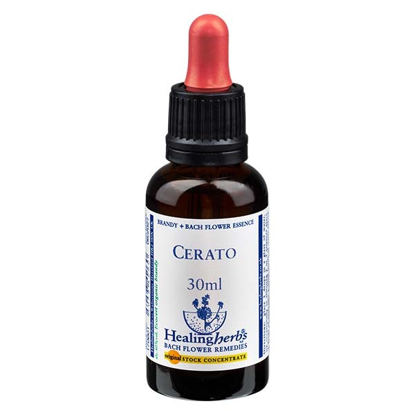 5 Cerato Essenz 30ml - Healing Herbs