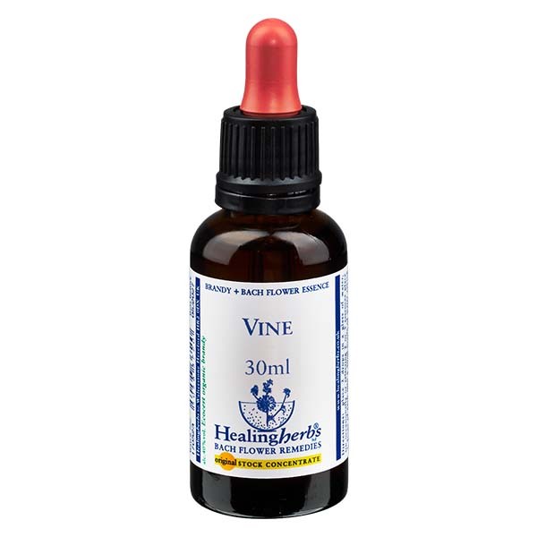 32 Vine Essenz 30ml - Healing Herbs