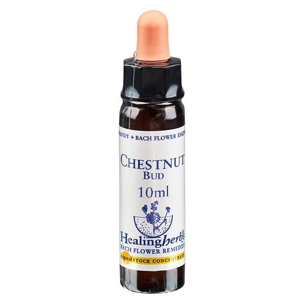 7 Chestnut Bud Essenz 10ml - Healing Herbs