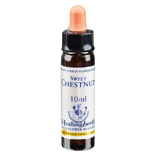 30 Sweet Chestnut Essenz 10ml - Healing Herbs