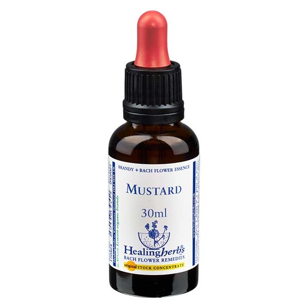 21 Mustard Essenz 30ml - Healing Herbs