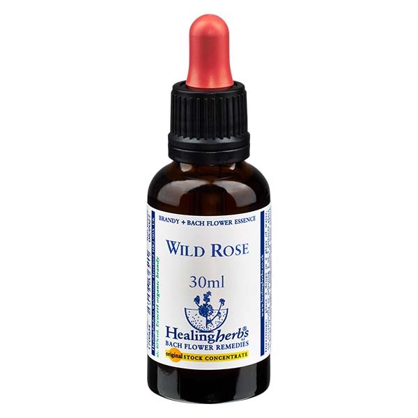 37 Wild Rose Essenz 30ml - Healing Herbs