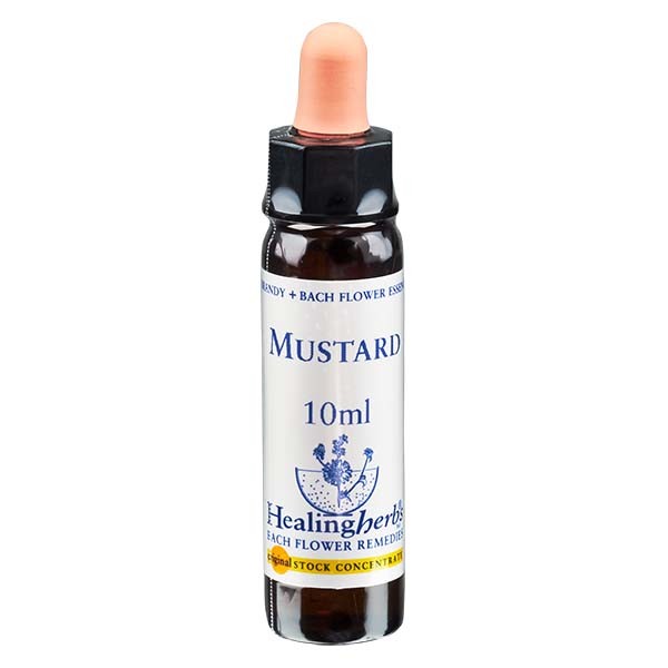 21 Mustard Essenz 10ml - Healing Herbs