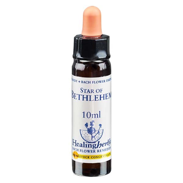 29 Star of Bethlehem Essenz 10ml - Healing Herbs