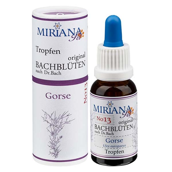 Gorse Bachblüten Essenz für Tiere 20ml