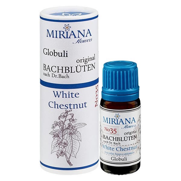 White Chestnut Bachblüten Globuli (Weiße Kastanie) 10g