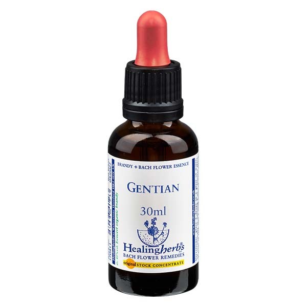 12 Gentian Essenz 30ml - Healing Herbs