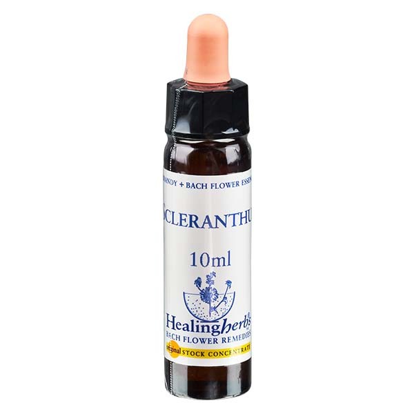 28 Scleranthus Essenz 10ml - Healing Herbs