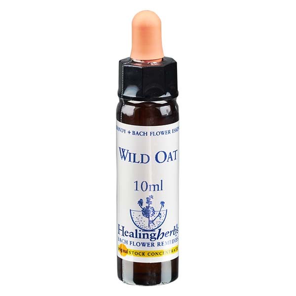 36 Wild Oat Essenz 10ml - Healing Herbs