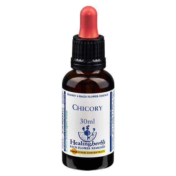 8 Chicory Essenz 30ml - Healing Herbs