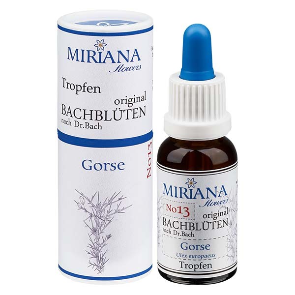 Gorse Bachblüten Essenz (Stechginster) 20ml