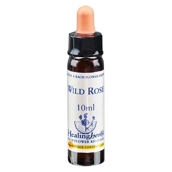 37 Wild Rose Essenz 10ml Healing Herbs