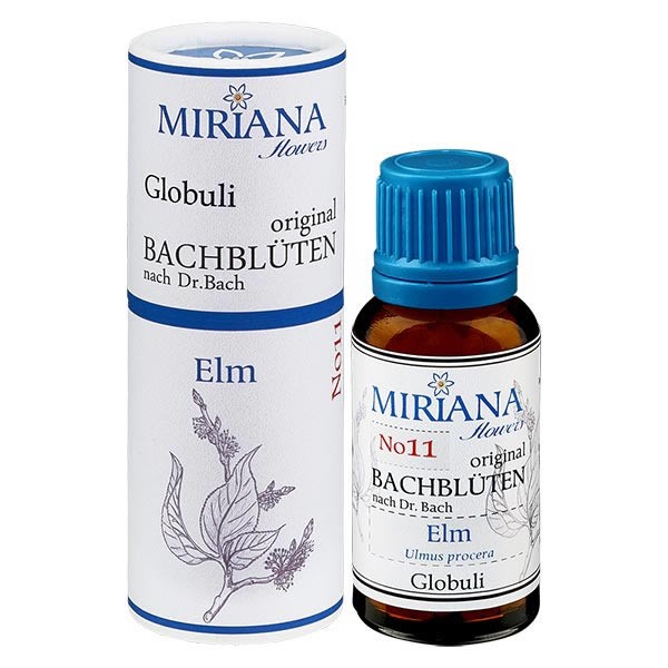 Elm Bachblüten Globuli (Ulme) 20g