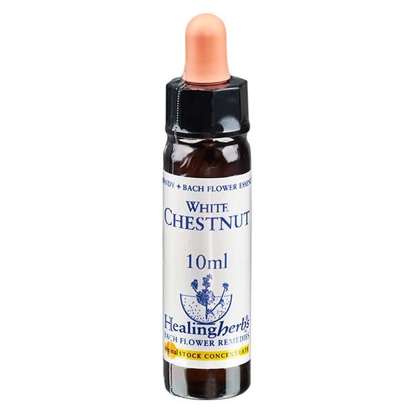 35 White Chestnut Essenz 10ml - Healing Herbs