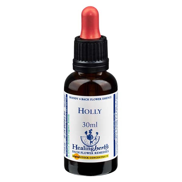 15 Holly Essenz 30ml - Healing Herbs