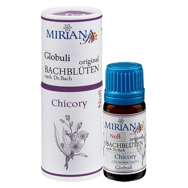 Chicory Bachblüten Globuli für Tiere 10g