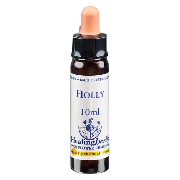 15 Holly Essenz 10ml - Healing Herbs