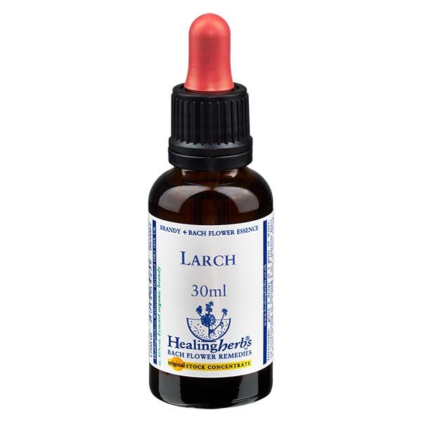 19 Larch Essenz 30ml - Healing Herbs