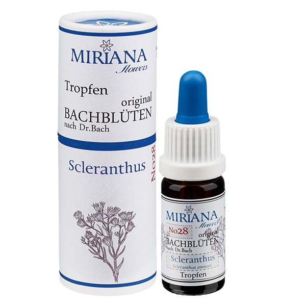 Scleranthus Bachblüten (Einjährige Knäuel) Essenz 10ml