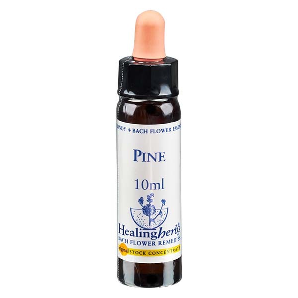 24 Pine Essenz 10ml - Healing Herbs