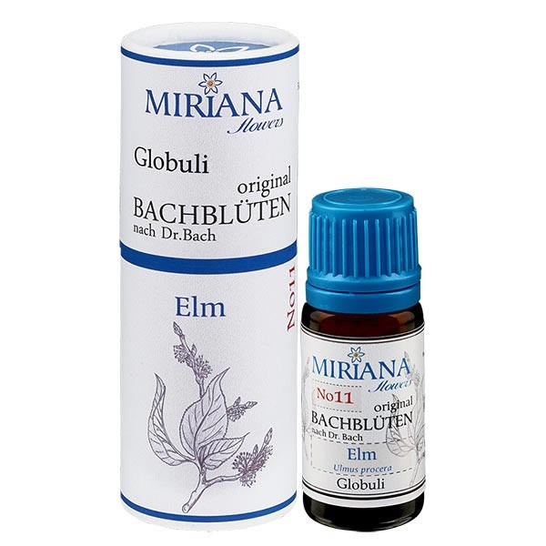 Elm Bachblüten Globuli (Ulme) 10g