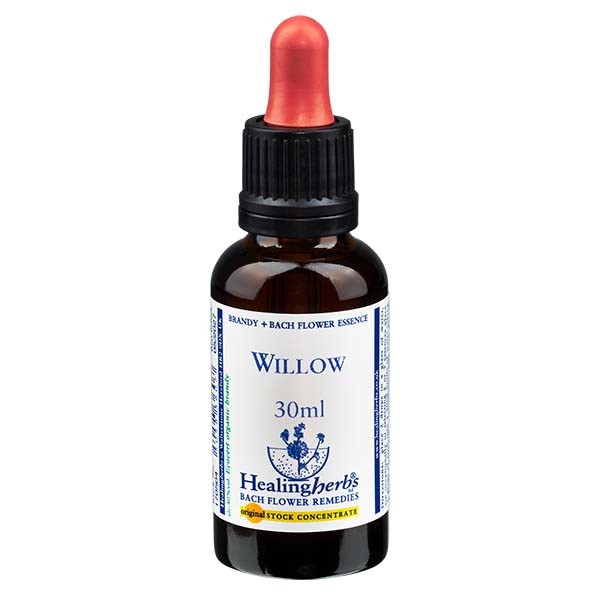 38 Willow Essenz 30ml - Healing Herbs