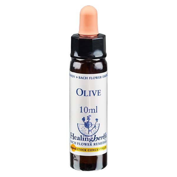 23 Olive Essenz 10ml - Healing Herbs