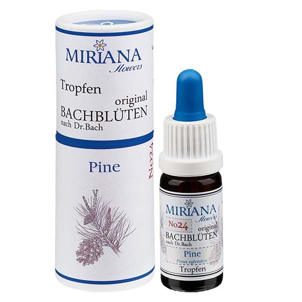 Pine Bachblüten (Schottische Kiefer) Essenz 10ml