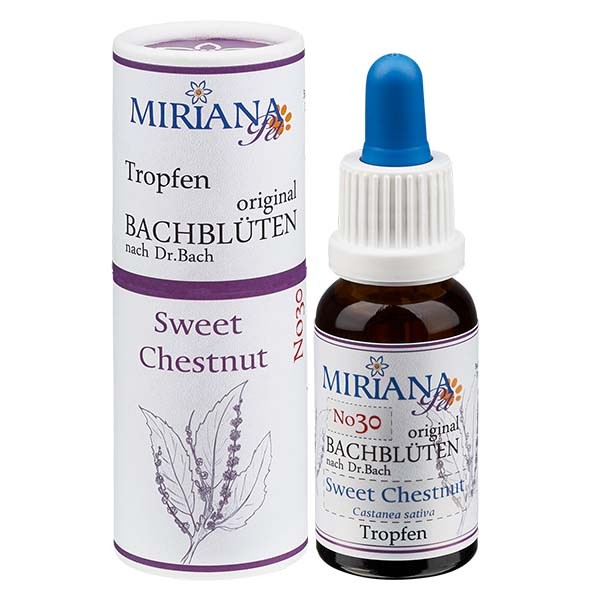 Sweet Chestnut Bachblüten Essenz für Tiere 20ml