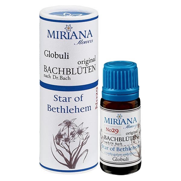 Star of Bethlehem Bachblüten Globuli (Doldiger Milchstern) 10g