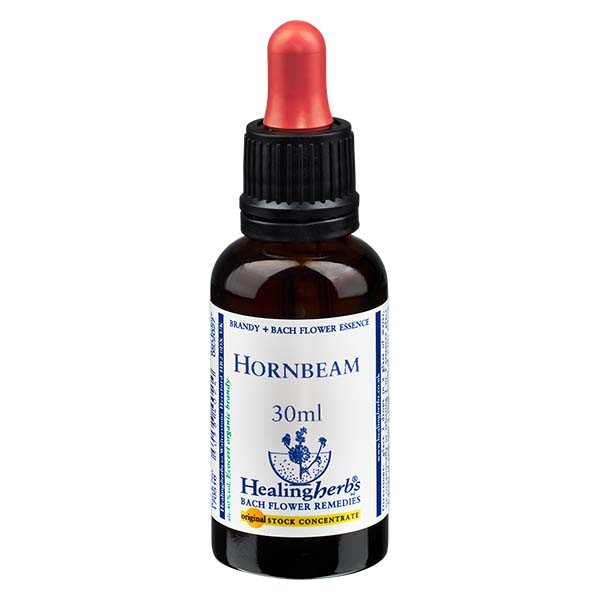 17 Hornbeam Essenz 30ml - Healing Herbs