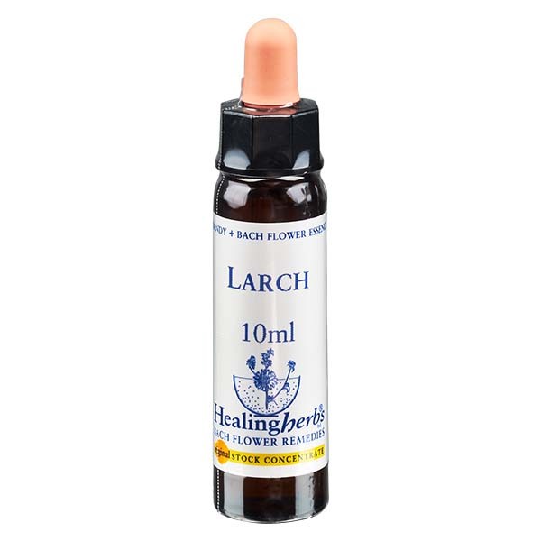 19 Larch Essenz 10ml - Healing Herbs