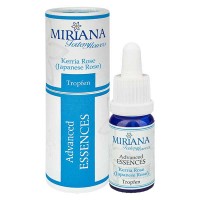 Kerria Rose (Japanese R.) - Ranunkelstrauch - Blütenmittel Kerria Rose (Japanese R.) - Ranunkelstrauch - Blütenmittel