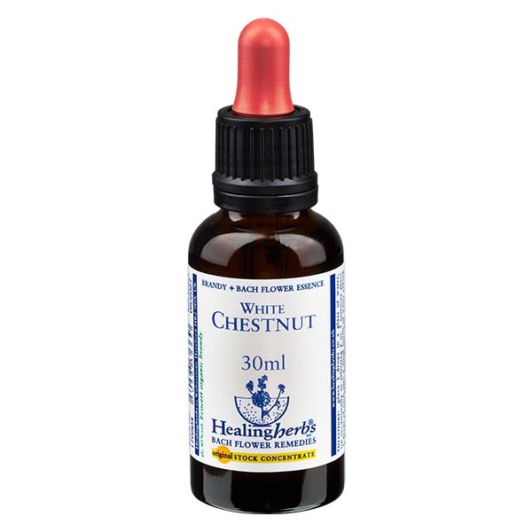 35 White Chestnut Essenz 30ml - Healing Herbs