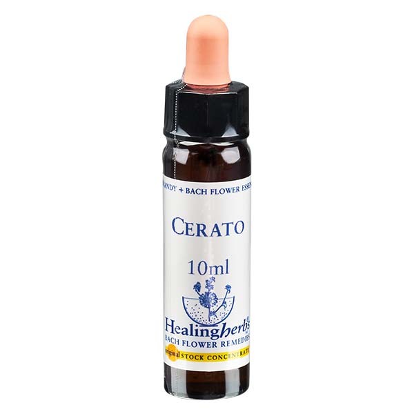 5 Cerato Essenz 10ml - Healing Herbs